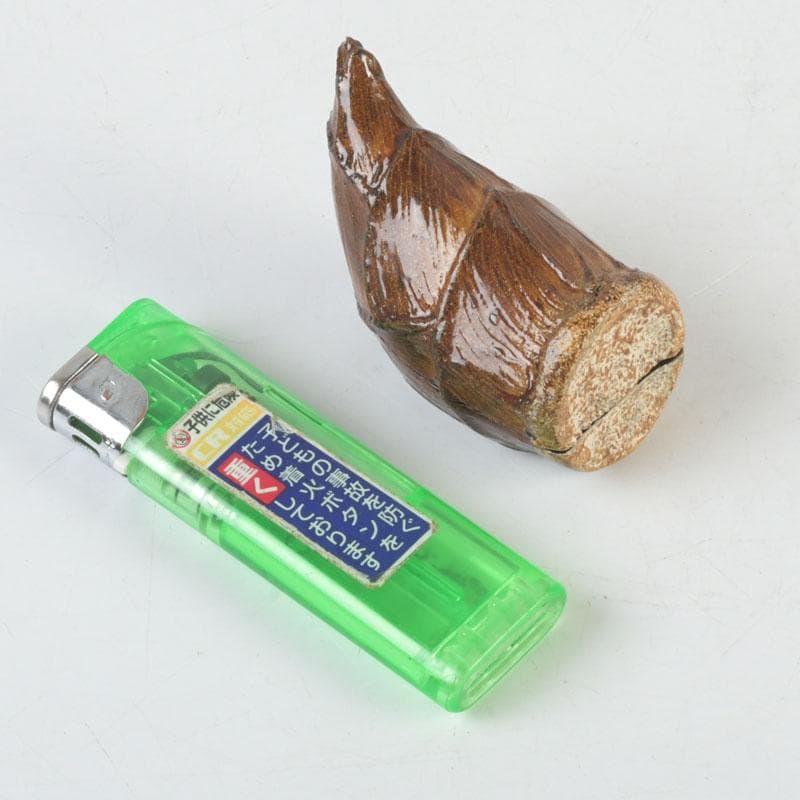 Bamboo Shoot Kogo by Kawagishi Hideyuki Wajima Lacquerware
