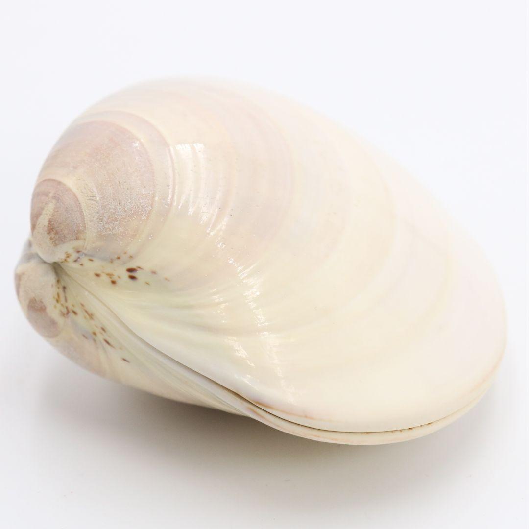 Gold-Leaf Clam Shell Kogo with Inu-Hariko Dog Motif by Socho