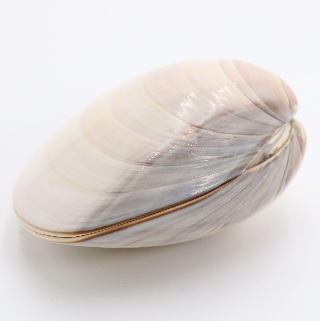 Gold-Leaf Clam Shell Kogo with Inu-Hariko Dog Motif by Socho