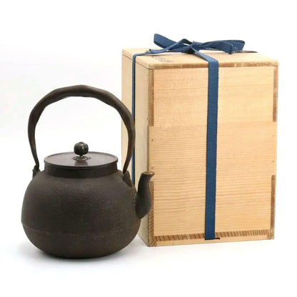 Cast Iron Tetsubin by Hashimoto Tatsutoshi — Koshikiguchi Sencha Kettle