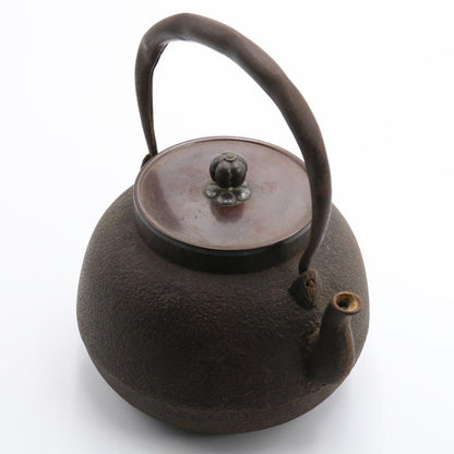 Cast Iron Tetsubin by Hashimoto Tatsutoshi — Koshikiguchi Sencha Kettle