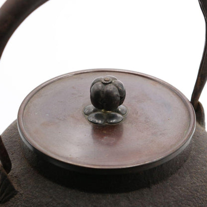 Cast Iron Tetsubin by Hashimoto Tatsutoshi — Koshikiguchi Sencha Kettle