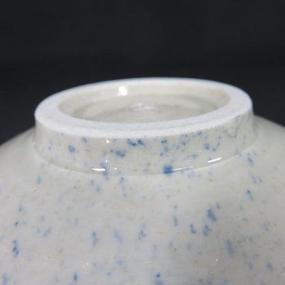 Mino Seika Tea Bowl by Fuji-gama Kazuko - Blue and White Cobalt Chawan
