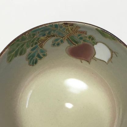 Vegetable Art Chawan by Ikkyu-gama – Kenzan Style Bowl – Kyoto Pottery – Japan