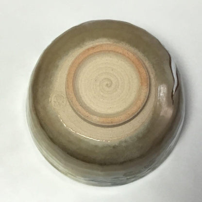 Vegetable Art Chawan by Ikkyu-gama – Kenzan Style Bowl – Kyoto Pottery – Japan