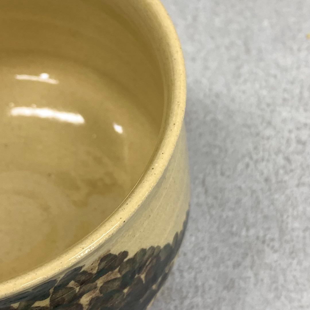 Fujina-yaki Pine Landscape Tea Bowl by Tsuchiya Zenshiro - Unzen Kiln Chawan with Box