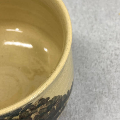Fujina-yaki Pine Landscape Tea Bowl by Tsuchiya Zenshiro - Unzen Kiln Chawan with Box