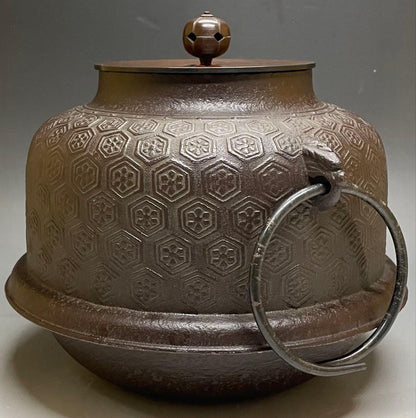 Shinnari Chagama Tea Kettle by Takahashi Keizan, Kikko Hanabishi, Signed Box