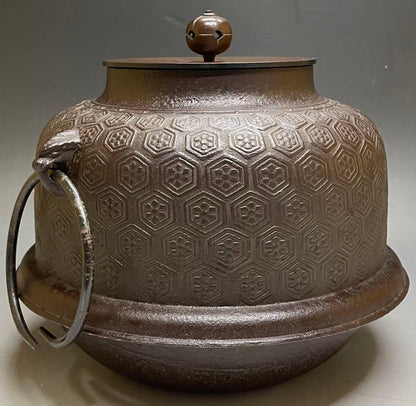 Shinnari Chagama Tea Kettle by Takahashi Keizan, Kikko Hanabishi, Signed Box