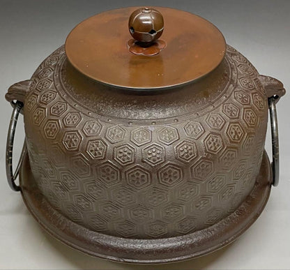 Shinnari Chagama Tea Kettle by Takahashi Keizan, Kikko Hanabishi, Signed Box