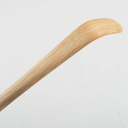 Chashaku Tea Scoop Seion — Souen, Daitokuji Inscription by Hasegawa Daishin, Signed Box