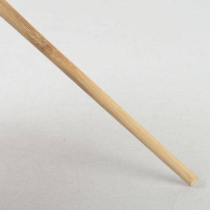 Chashaku Tea Scoop Seion — Souen, Daitokuji Inscription by Hasegawa Daishin, Signed Box