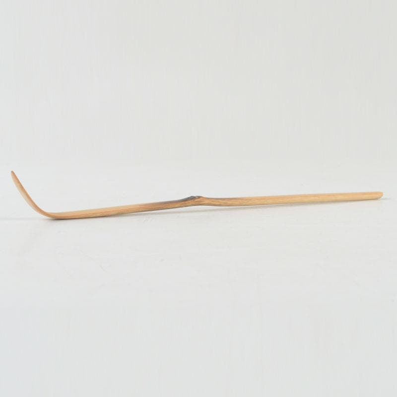Chashaku Tea Scoop Seion — Souen, Daitokuji Inscription by Hasegawa Daishin, Signed Box