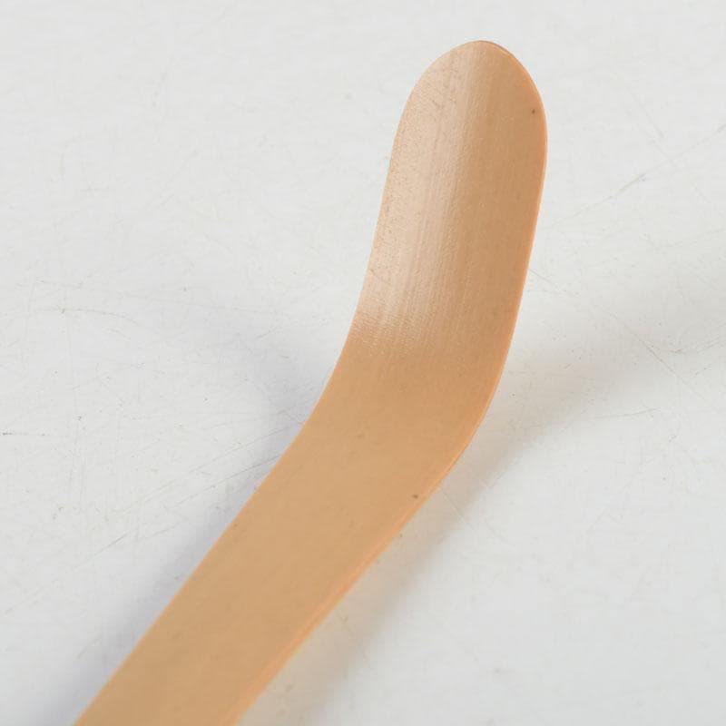 Chashaku Tea Scoop Seion — Souen, Daitokuji Inscription by Hasegawa Daishin, Signed Box