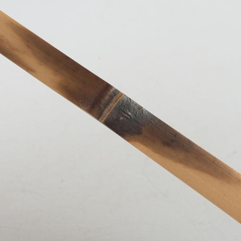 Chashaku Tea Scoop Seion — Souen, Daitokuji Inscription by Hasegawa Daishin, Signed Box