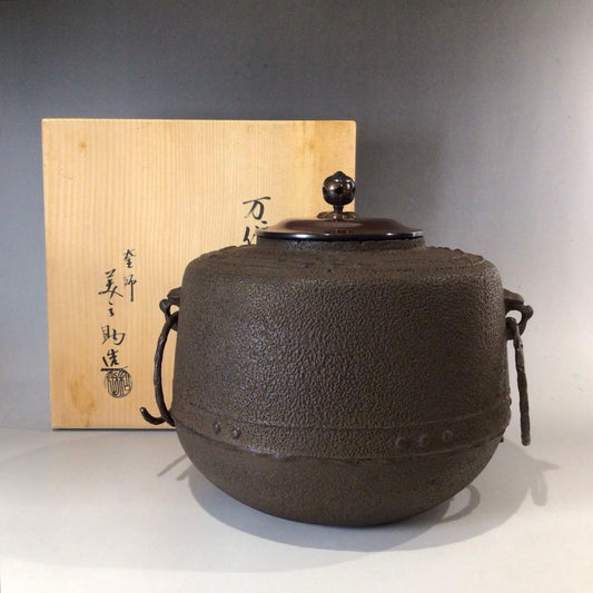 Mandaiya Chagama Tea Kettle by Wada Minosuke XII - Cast Iron with Signed Box