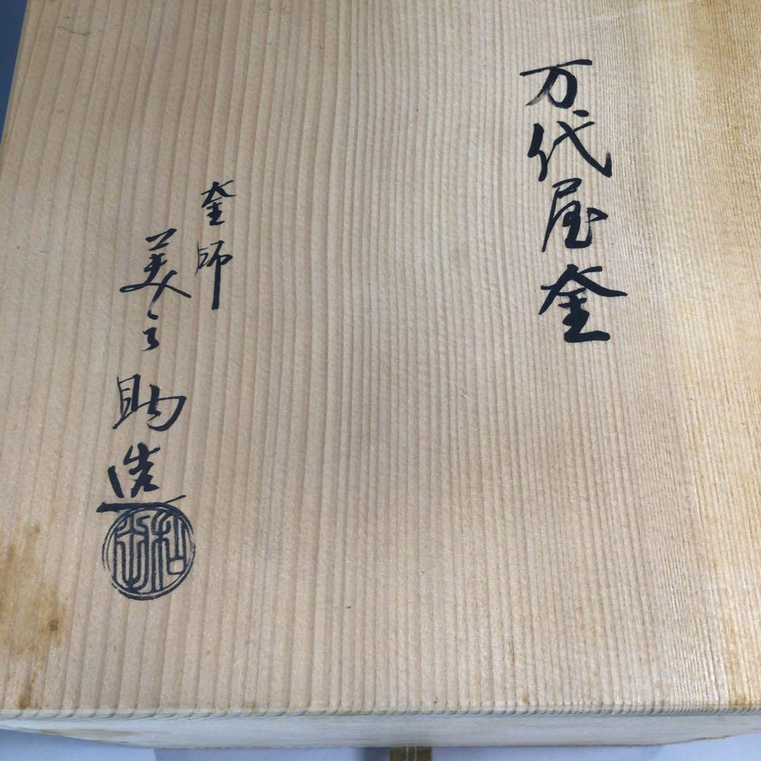 Mandaiya Chagama Tea Kettle by Wada Minosuke XII - Cast Iron with Signed Box
