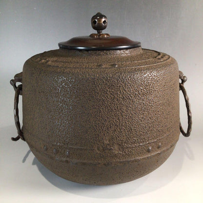Mandaiya Chagama Tea Kettle by Wada Minosuke XII - Cast Iron with Signed Box