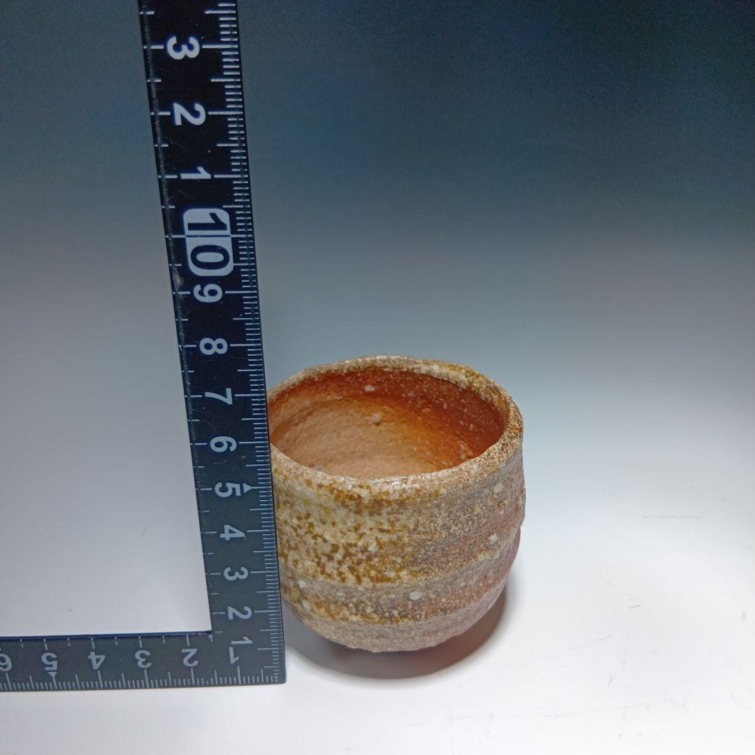 Shigaraki Guinomi by Michio Furutani – Japanese Sake Cup – Anagama Stoneware – Japan