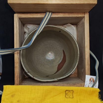E-Karatsu Style Tea Bowl by Suda Shoho — Iron Reed Motif, Signed Box, Kyoto Ware Masterwork