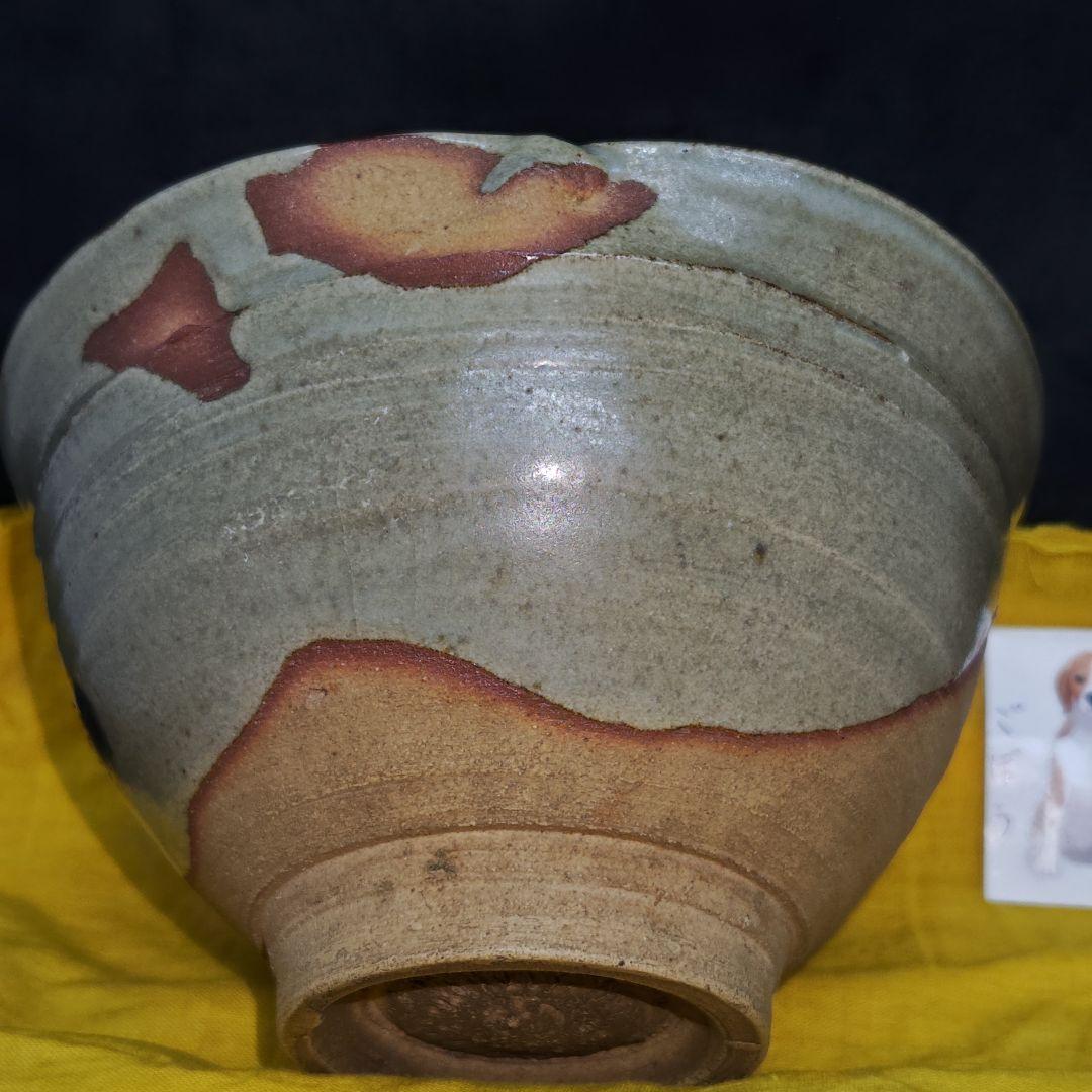 E-Karatsu Style Tea Bowl by Suda Shoho — Iron Reed Motif, Signed Box, Kyoto Ware Masterwork