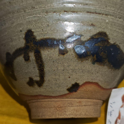 E-Karatsu Style Tea Bowl by Suda Shoho — Iron Reed Motif, Signed Box, Kyoto Ware Masterwork