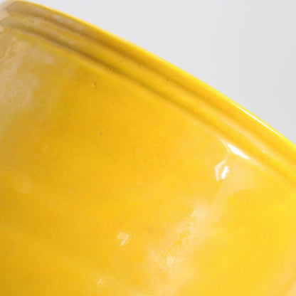 Yellow Kochi Ware Mizusashi Water Jar with Arai-iso Carp Design — Seizan Mark, Japanese Tea Ceremony