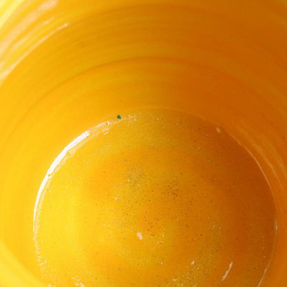 Yellow Kochi Ware Mizusashi Water Jar with Arai-iso Carp Design — Seizan Mark, Japanese Tea Ceremony