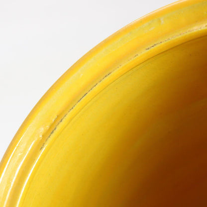 Yellow Kochi Ware Mizusashi Water Jar with Arai-iso Carp Design — Seizan Mark, Japanese Tea Ceremony
