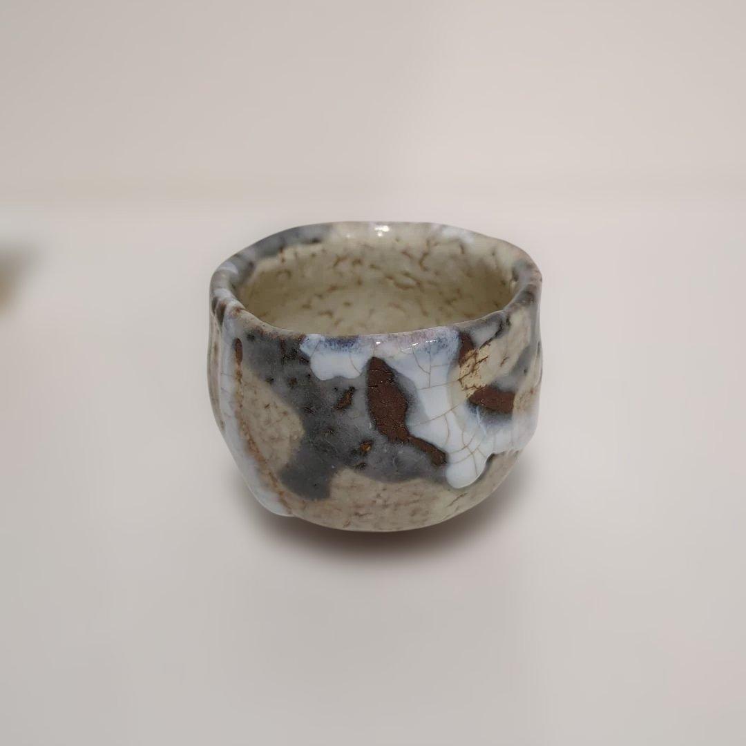 Handmade Guinomi Sake Cup with Crackle Glaze - Artisan Japanese Ochoko with Signed Box