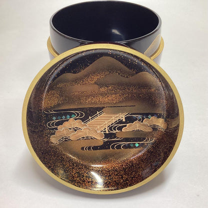 Japanese Tamenuri Lacquer Natsume Tea Caddy with Kyoraku Maki-e Landscape, Signed Nakamura Soetsu, Kyoto Urushi Art with Tomobako