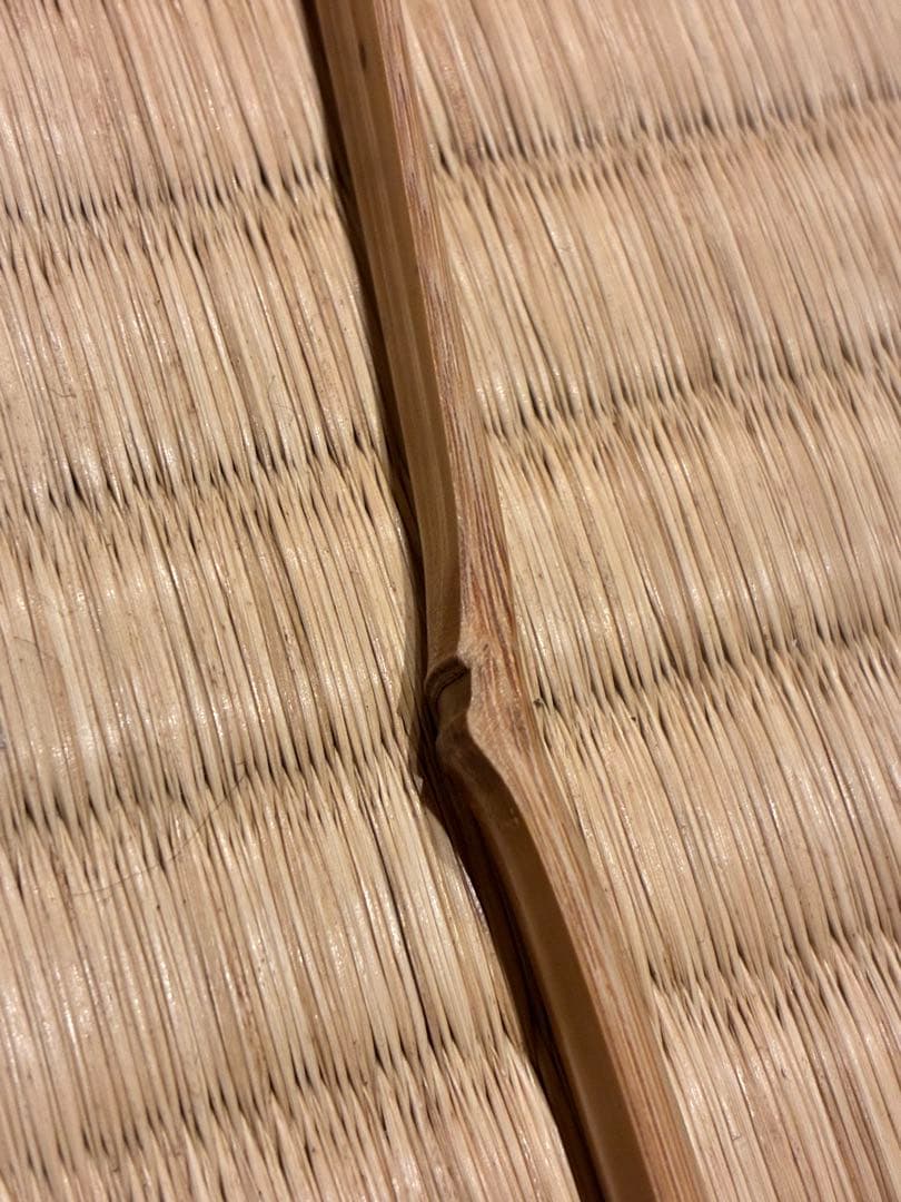 Daitokuji Zen Master Chashaku Fuyu Kodachi - Bamboo Tea Scoop with Signed Box