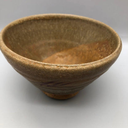 Irabo Akae Tea Bowl "Kareno" by Suzuki Hachiro - Seto Ware Chawan with Iron Painted Reeds