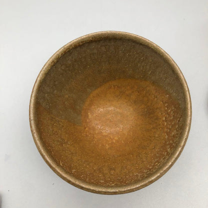 Irabo Akae Tea Bowl "Kareno" by Suzuki Hachiro - Seto Ware Chawan with Iron Painted Reeds