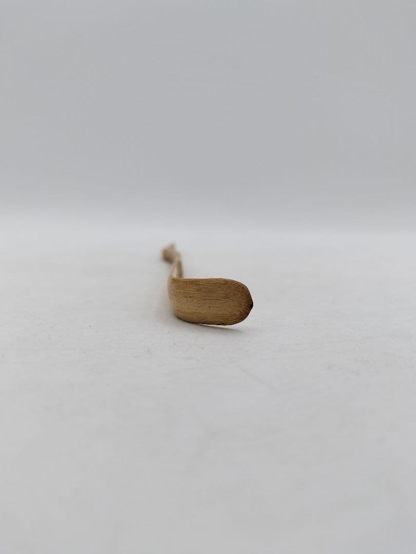 Chashaku Tea Scoop 'Kanzan' – Three-Node – Ueda Gizan – Daitokuji Kotooin