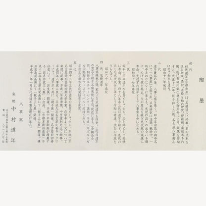 Nakamura Donnen 5th Gen Yagoto Kiln Aka Raku Chawan Calligraphy Tomobako