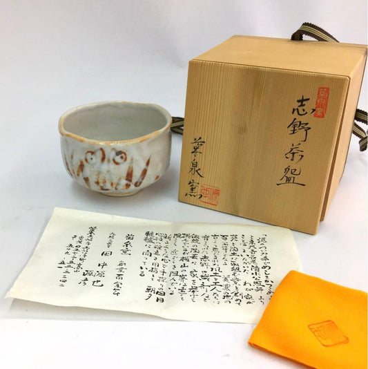 Shino Chawan Tea Bowl by Kikusen-gama — Iron Brushwork, Original Signed Box