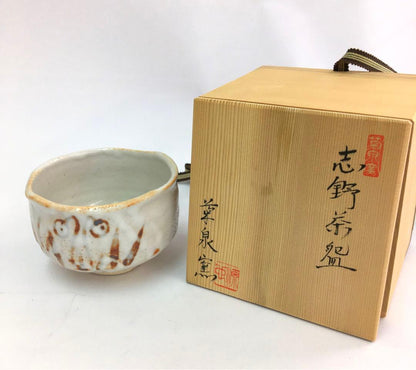 Shino Chawan Tea Bowl by Kikusen-gama — Iron Brushwork, Original Signed Box