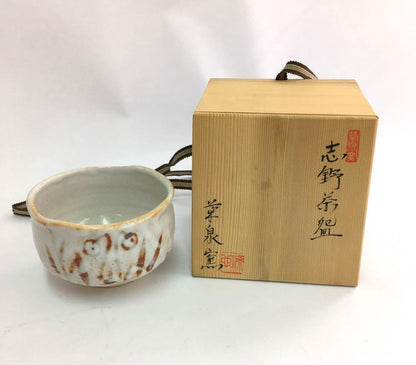 Shino Chawan Tea Bowl by Kikusen-gama — Iron Brushwork, Original Signed Box