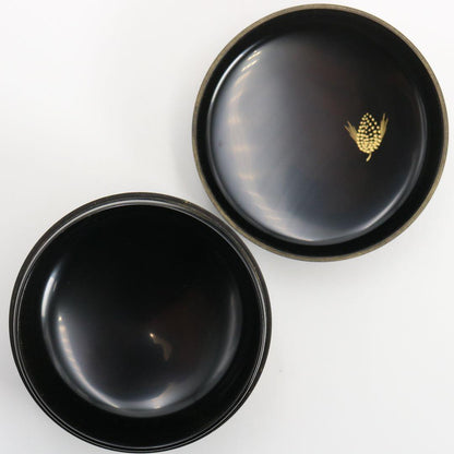 Koji Takaharu Chinkin Pine Needle Hira-Natsume | Wajima Lacquer Tea Caddy