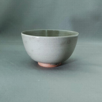 Kiyomizu-yaki Dragonfly Tea Bowl Autumn Grass by Ogura Torasuke