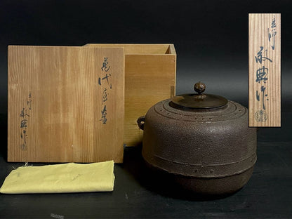 Keitei Mandaiya-gama Cast Iron Tea Kettle Arare Texture Tomobako