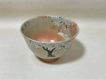 Sakuma Shozan Matsusaka Banko Iro-e Sakura Chawan | Polychrome Cherry Blossom Tea Bowl with Paulownia Tomobako