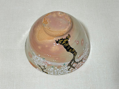 Sakuma Shozan Matsusaka Banko Iro-e Sakura Chawan | Polychrome Cherry Blossom Tea Bowl with Paulownia Tomobako