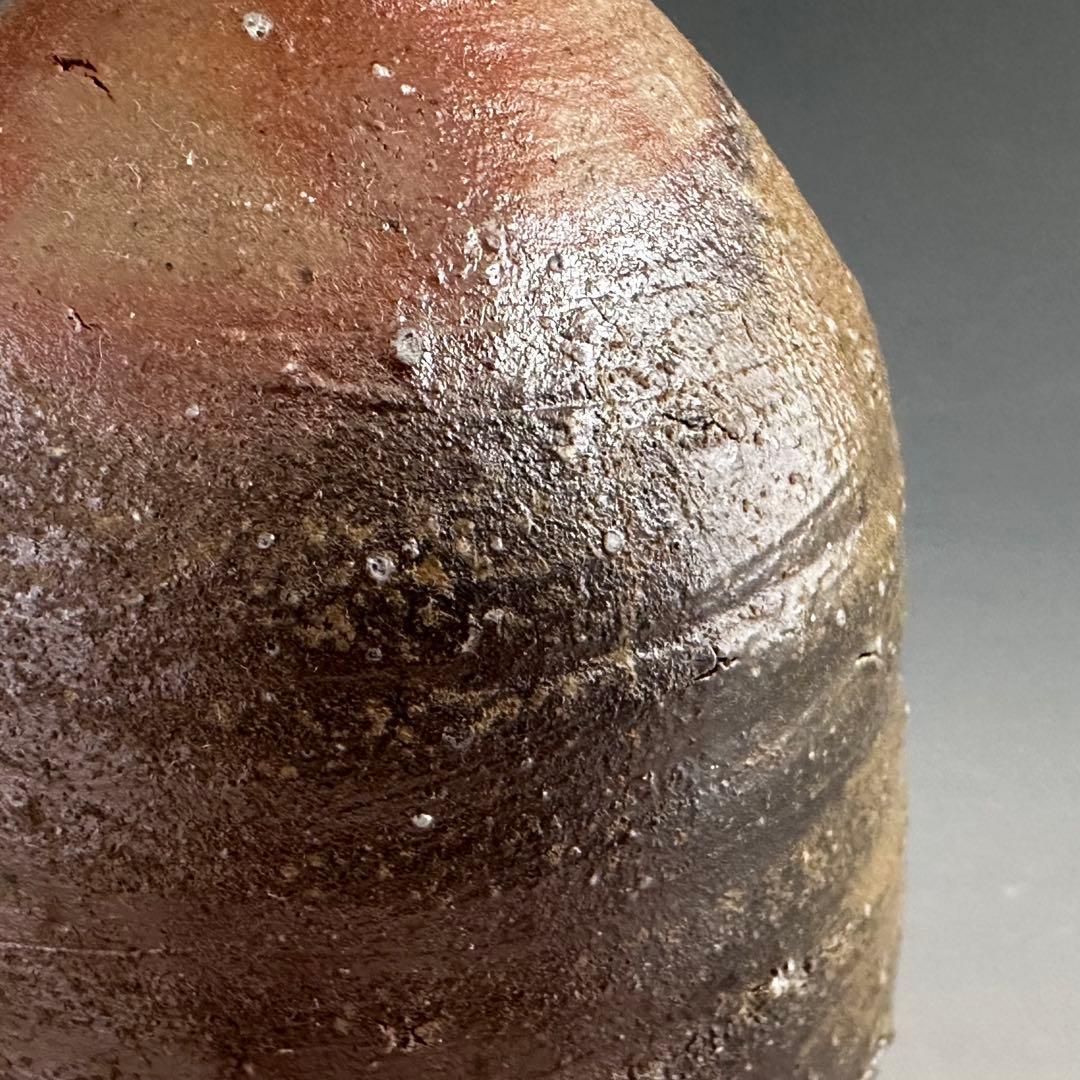 Bizen Ware Tokkuri Sake Bottle by Kaneshige Tsuyoshi - Wood Fired