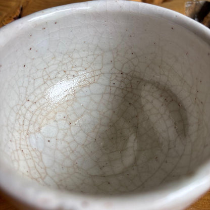 E-Shino Matcha Bowl by Sato Kazuko — Fujigama Kiln, Iron-Painted Chawan with Tomobako