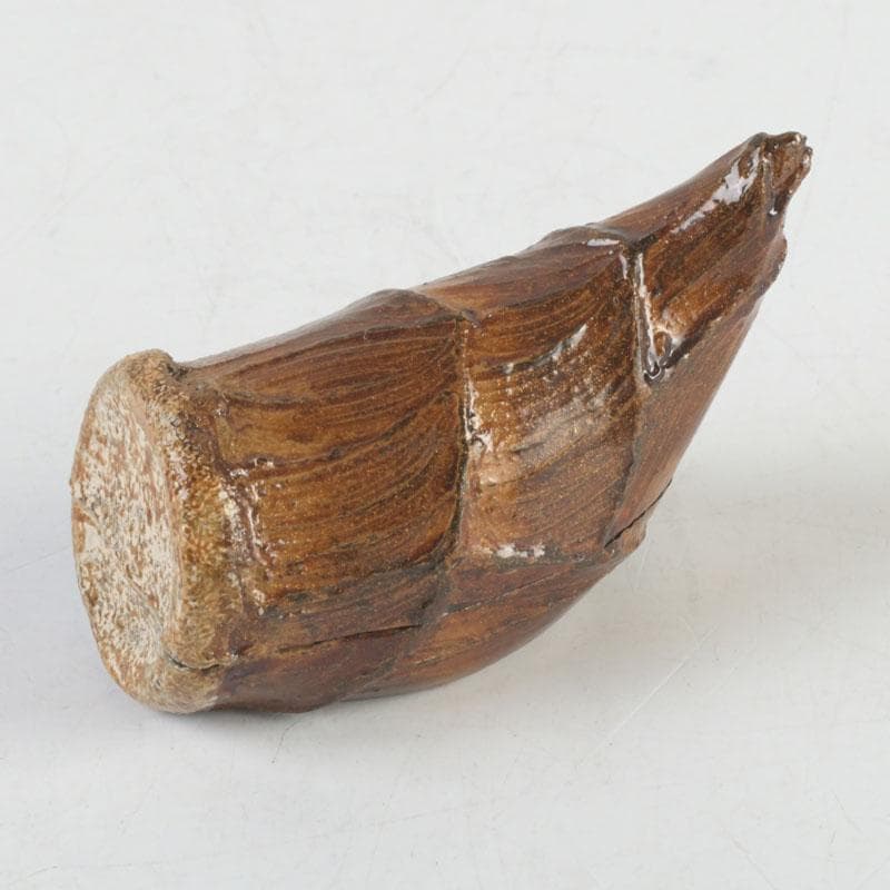 Bamboo Shoot Kogo by Kawagishi Hideyuki Wajima Lacquerware