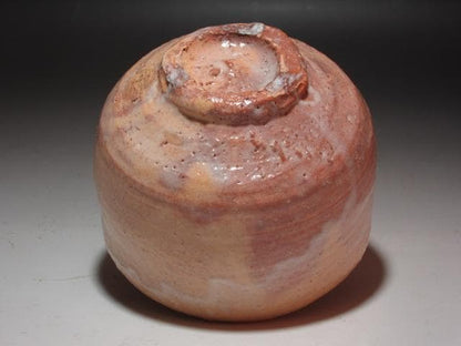Miwa Kyuwa (10th Kyusetsu) Tea Bowl 'Seigoke' — Living National Treasure, Houunsai Kaō, Hagi Ware