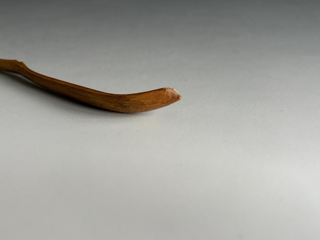 Bamboo Tea Scoop 'Tokiwa' by Horinouchi Sokan Kenchusai XII, Omotesenke Choseian Master, Chashaku with Signed Bamboo Tube and Tomobako
