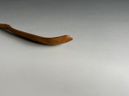 Bamboo Tea Scoop 'Tokiwa' by Horinouchi Sokan Kenchusai XII, Omotesenke Choseian Master, Chashaku with Signed Bamboo Tube and Tomobako